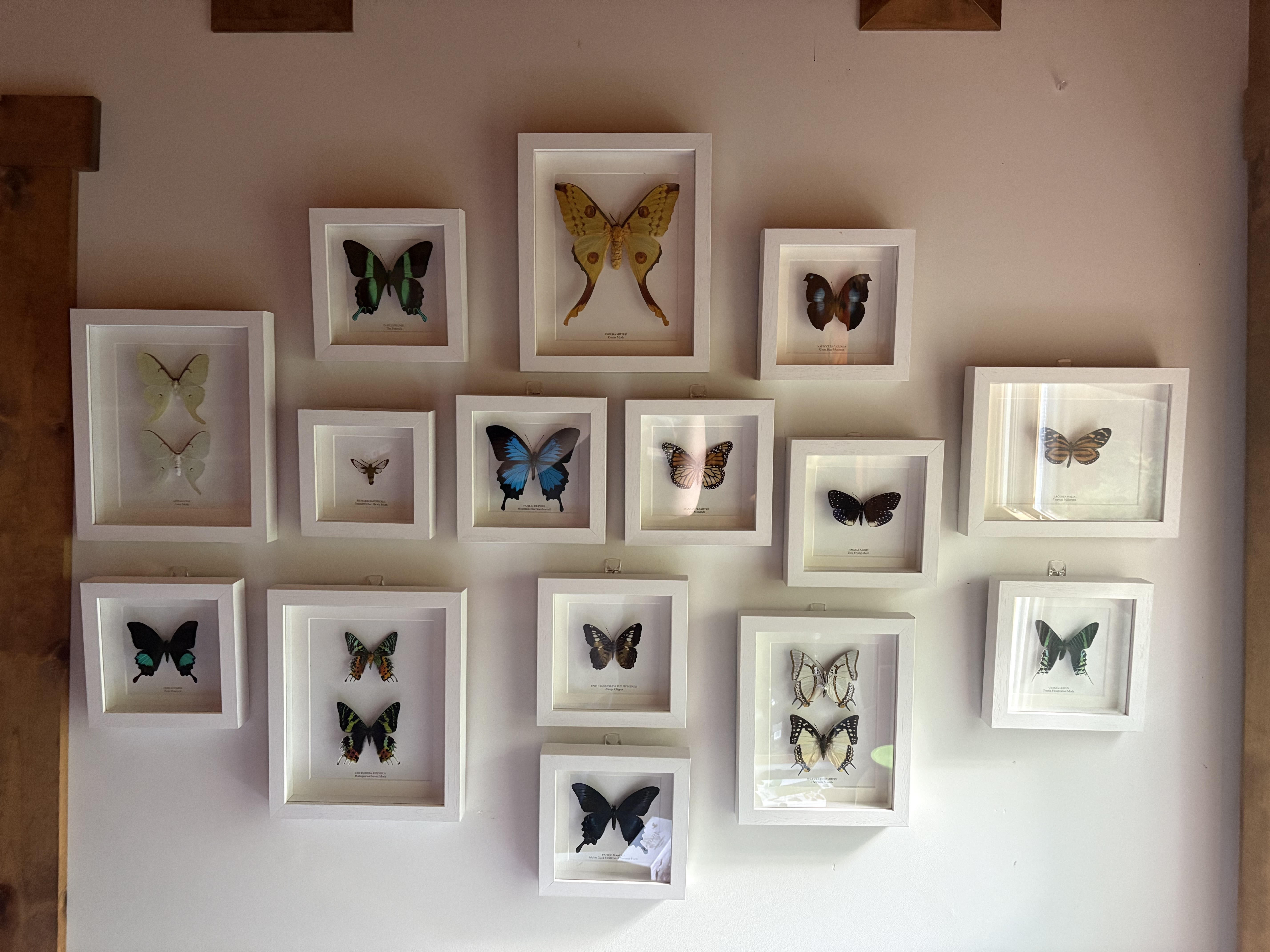 Gallery wall